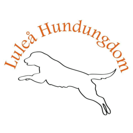 Luleå Hundungdom